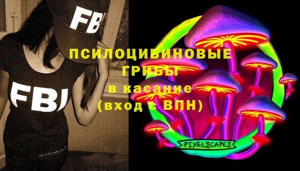 дживик Майский