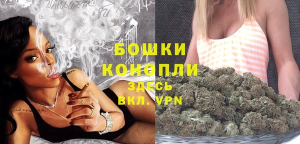 гашик Магас