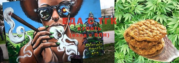гашик Магас