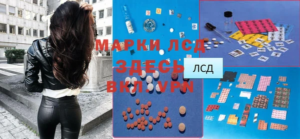 дживик Майский
