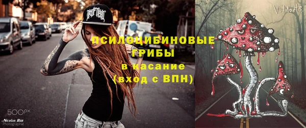 дживик Майский