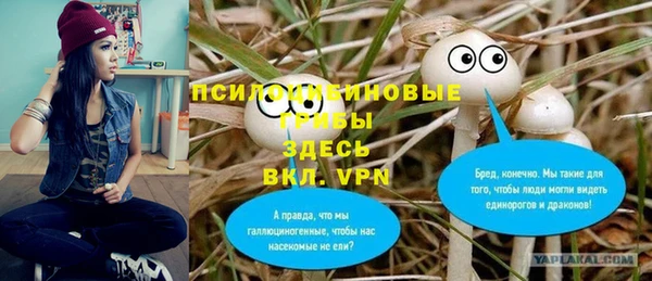мескалин Горно-Алтайск