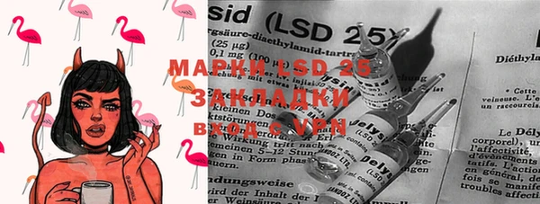 дживик Майский