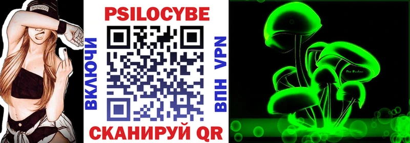 мега как зайти  Пущино  Псилоцибиновые грибы Psilocybine cubensis  хочу наркоту 